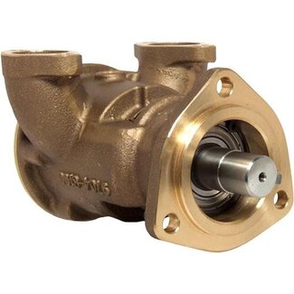 Jabsco Jabsco PUMP BRZ FLG 080 BSP