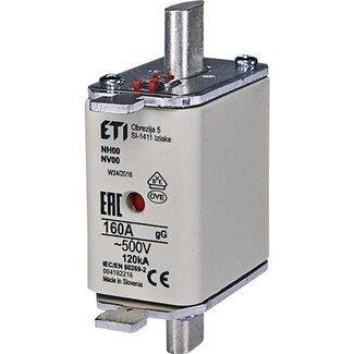 Max Power Zekering 160A