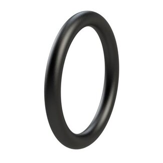 Rheinstrom O-ring