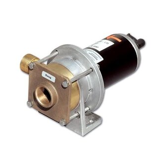 Rheinstrom Dekwaspomp Z60