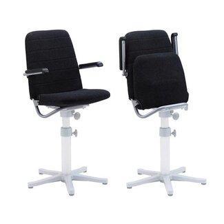 Zwaardvis Zwaardvis Stoelkuip Maryland