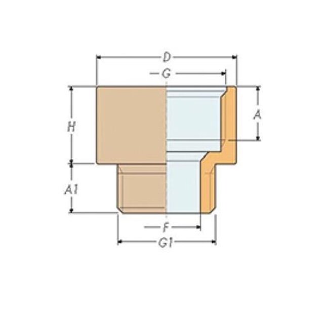 White Label Hollex Neusstuk 3/4"x1/2"