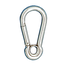 Allpa allpa RVS karabijnhaak met oog  Ø8mm  H=80mm (breekkracht 800kg)