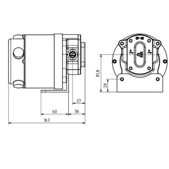 Rheinstrom Dieseloliepomp EP40 12/24V