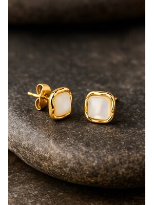 Lundholm Lundholm Oorknopjes Dames Goudkleurig – Premium Stainless Steel Gold PVD Plated – Vierkante Studs (8 x 8 mm) Lundholm Lundholm Oorknopjes Dames Goudkleurig – Premium Stainless Steel Gold PVD Plated – Vierkante Studs (8 x 8 mm)