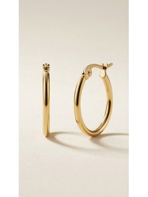 Lundholm Lundholm Oorbellen Dames Gold Plated Hoops - Creole Dames Oorringen Goud kleurig PVD Verguld - Premium Stainless Steel Jewellery - my Eefje serie - Minimalistische kleine oorringen - Vrouwen cadeautjes verjaardag