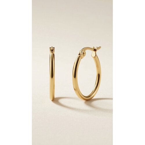 Lundholm Lundholm Oorbellen Dames Gold Plated Hoops - Creole Dames Oorringen Goud kleurig PVD Verguld - Premium Stainless Steel Jewellery - my Eefje serie - Minimalistische kleine oorringen - Vrouwen cadeautjes verjaardag