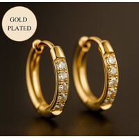 Hova – Kleine Zirkonia Hoops 1,1 cm – Goudkleurig