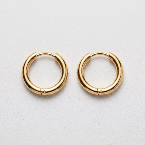 Lundholm Lundholm 12 mm Emmy Oorringen Dames Zilver kleurig – Premium Stainless Steel Jewellery Hoops – Kleine Zilveren Oorbellen Dames Sieraad Cadeau my Lundholm Lundholm 12 mm Emmy Oorringen Dames Zilver kleurig – Premium Stainless Steel Jewellery Hoops – Kleine Zilveren Oorbellen Dames Sieraad Cadeau my