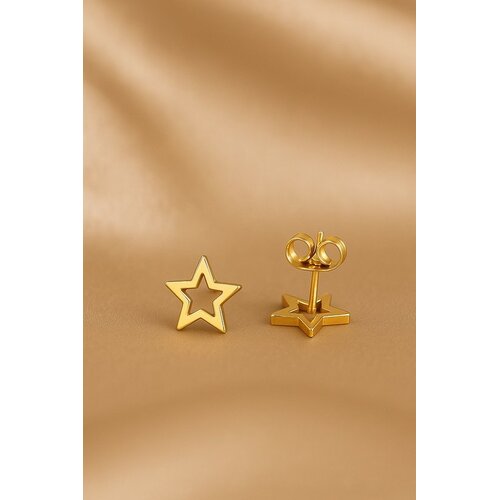 Lundholm Lundholm Luxe Oorknopjes Dames Goudkleurig – Premium Stainless Steel Goud Verguld – Kleine Ster (0.7 cm) Oorbellen – Perfect Cadeau voor Vrouw Lundholm Lundholm Luxe Oorknopjes Dames Goudkleurig – Premium Stainless Steel Goud Verguld – Kleine Ster (0.7 cm) Oorbellen – Perfect Cadeau voor Vrouw