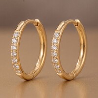 Delia – Kleine Oorringen met Zirkonia 15 mm – Goudkleurig