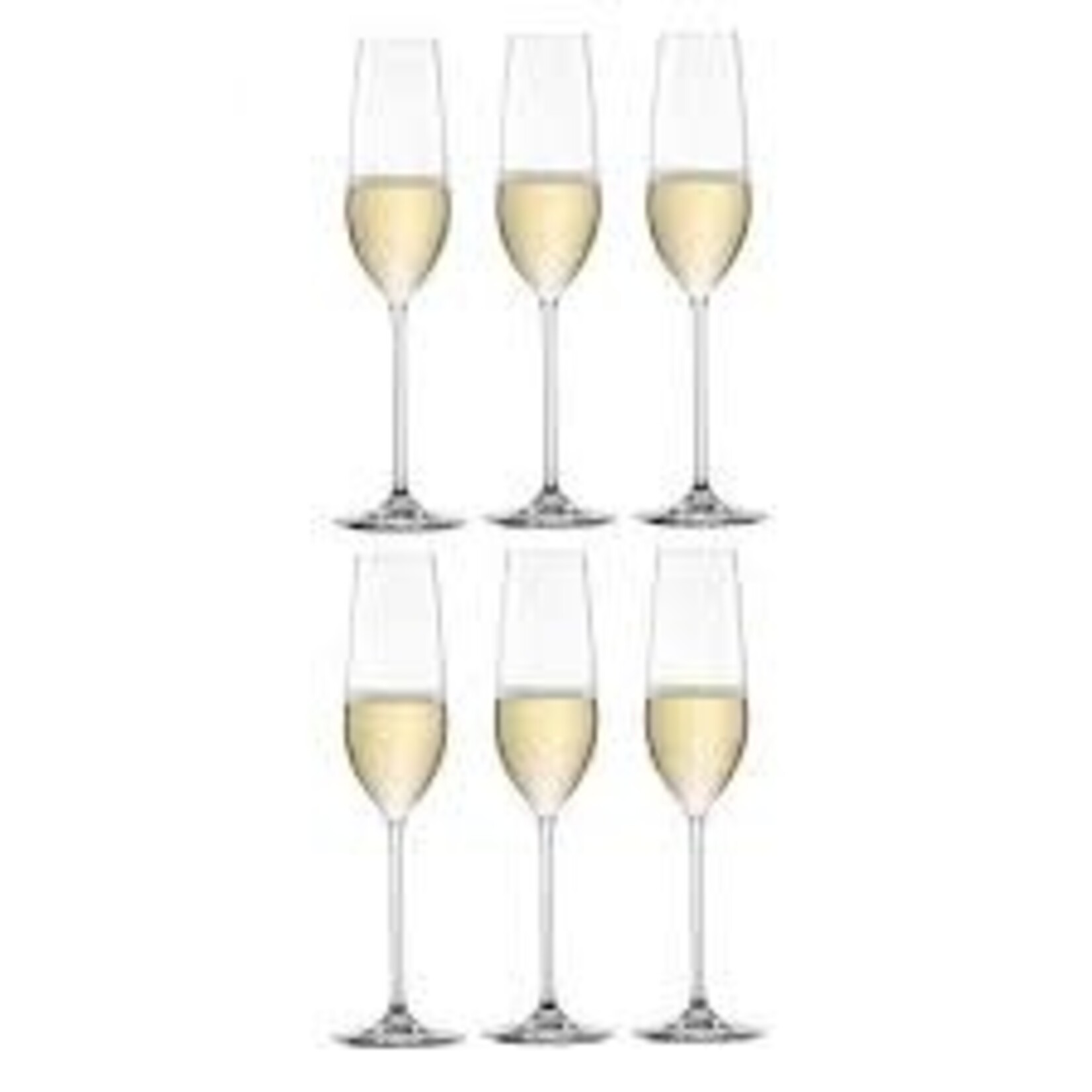 Zwiesel Collection Glas Doos-6 Schott Zwiesel Fortissimo champagne flûte Fortissimo 7