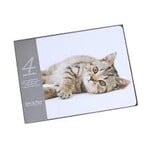 Mars & More Placemats Kitten liggend set-4 placemats kurk onderlaag Kitten Mars & More SCPMKT