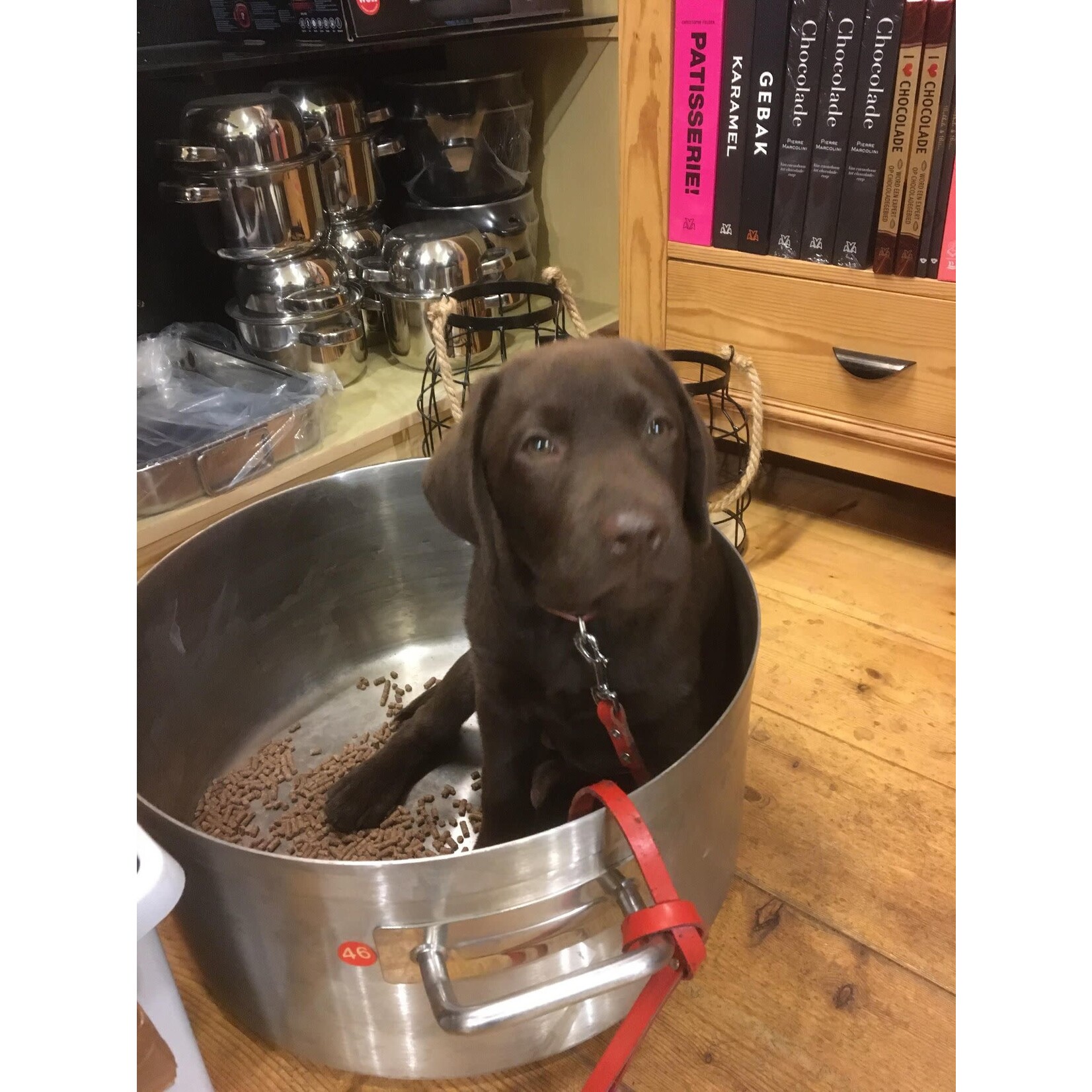 Maison Berger Paris 1898 200 ml navulling parfumverspreider met stokjes Maison Berger anti huisdieren 1 luchtjes Maison Berger 6271