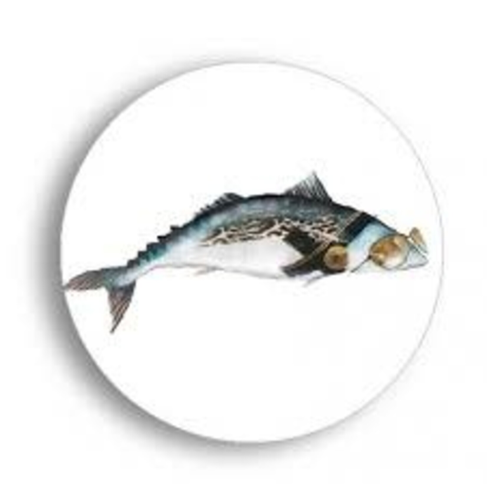 Diverse Merken Bordy's borden met een verhaal Noordzee set-6 27 cm dinerborden Bordy's Noordzee1