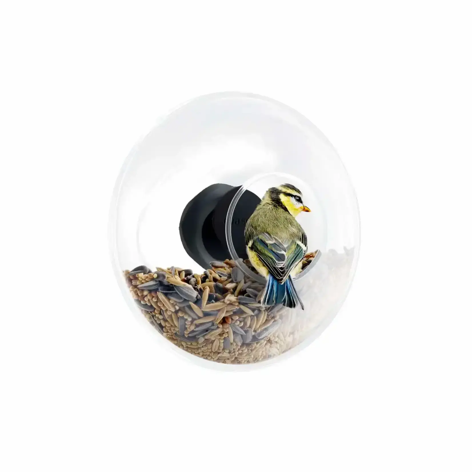 Eva Solo en Eva Trio Ø 143 mm kleine voederbol voor raam Eva Solo Window Bird Feeder Eva Solo 571048