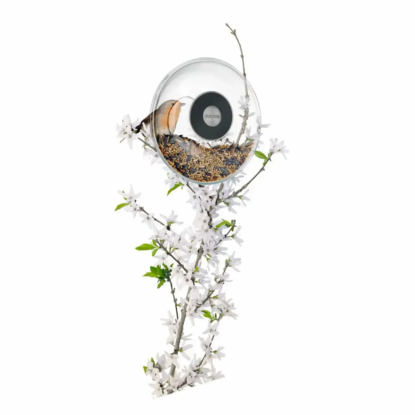 Eva Solo en Eva Trio Ø 143 mm kleine voederbol voor raam Eva Solo Window Bird Feeder Eva Solo 571048