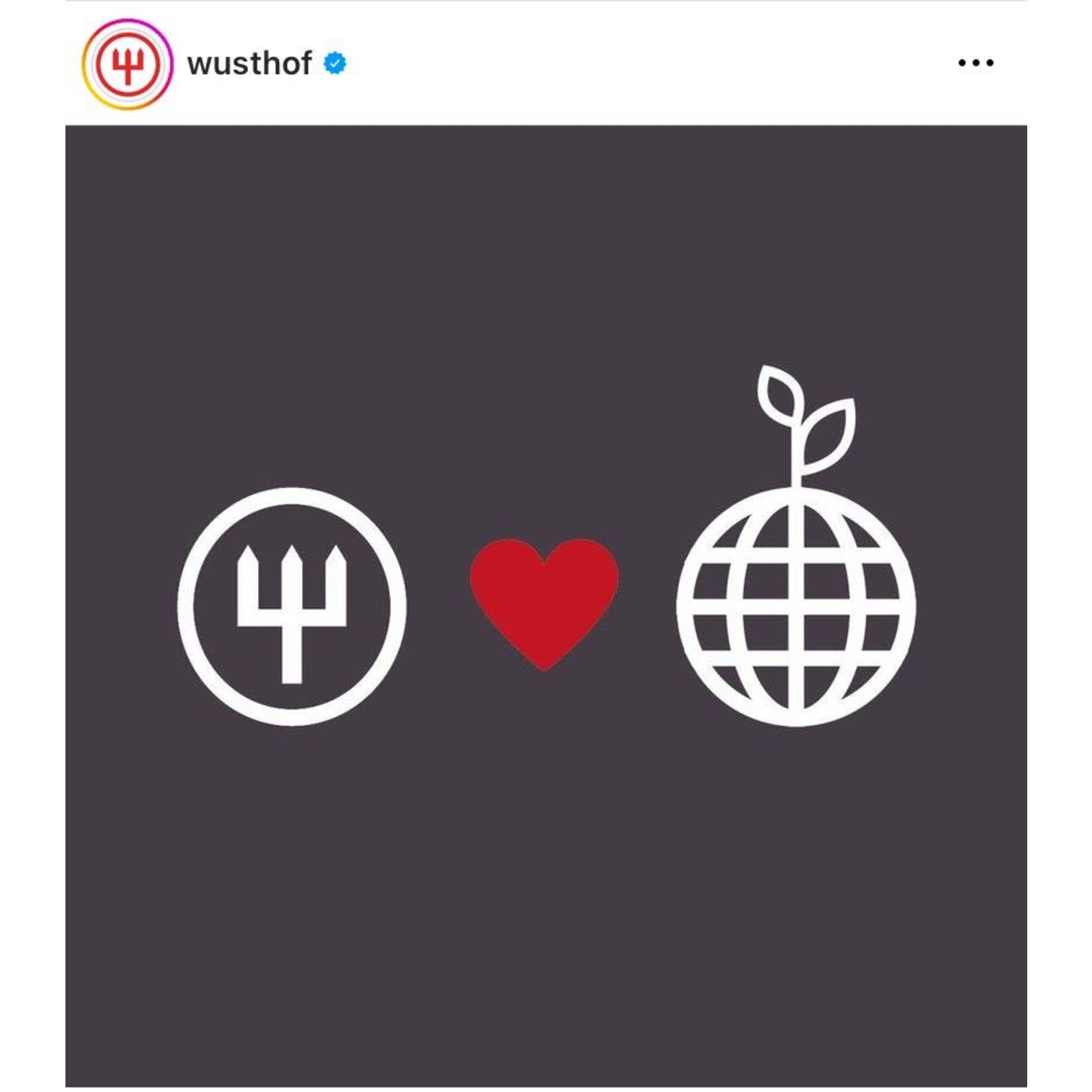 Wüsthof, messen uit Solingen 20 cm koks mes Wusthof Classic koksmes 20 cm Classic Pink Himalayan Salt Wusthof 1061700420