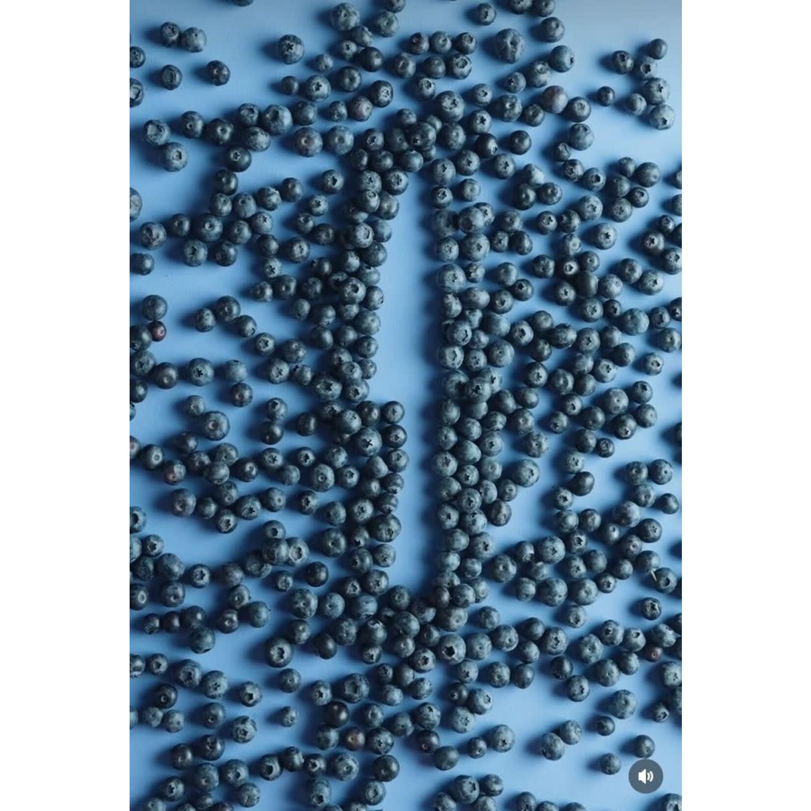 Wüsthof, messen uit Solingen 16 cm koks mes Wusthof Classic koksmes 16 cm Classic Wild Blueberry Wüsthof 1061700616