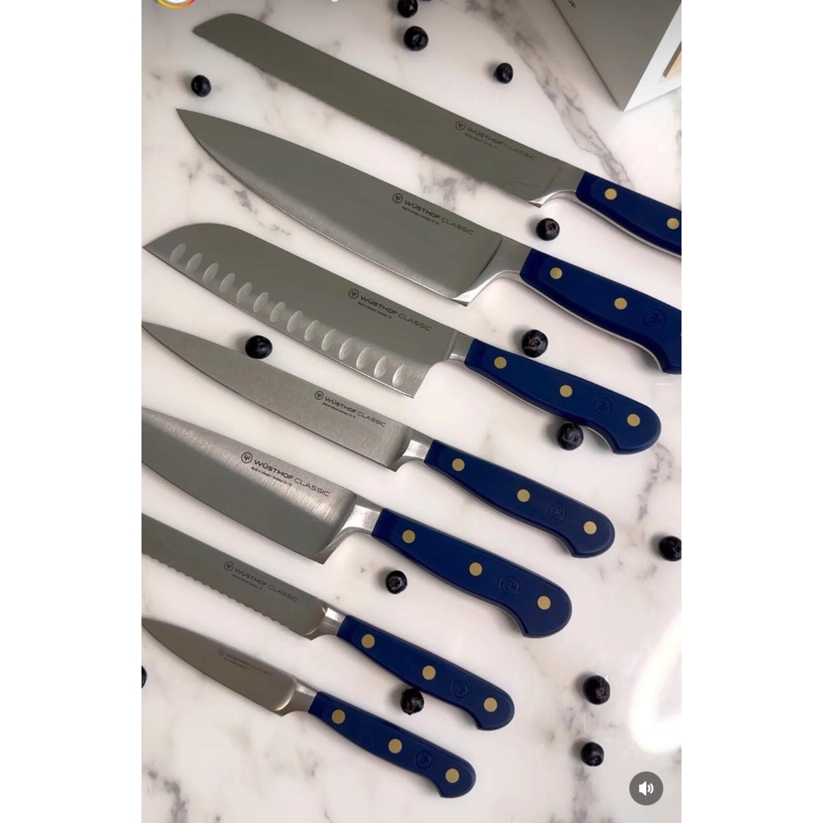 Wüsthof, messen uit Solingen 17 cm Santoku mes Wusthof Classic Santokumes 17 cm Classic Wild Blueberry Wusthof 1061731817