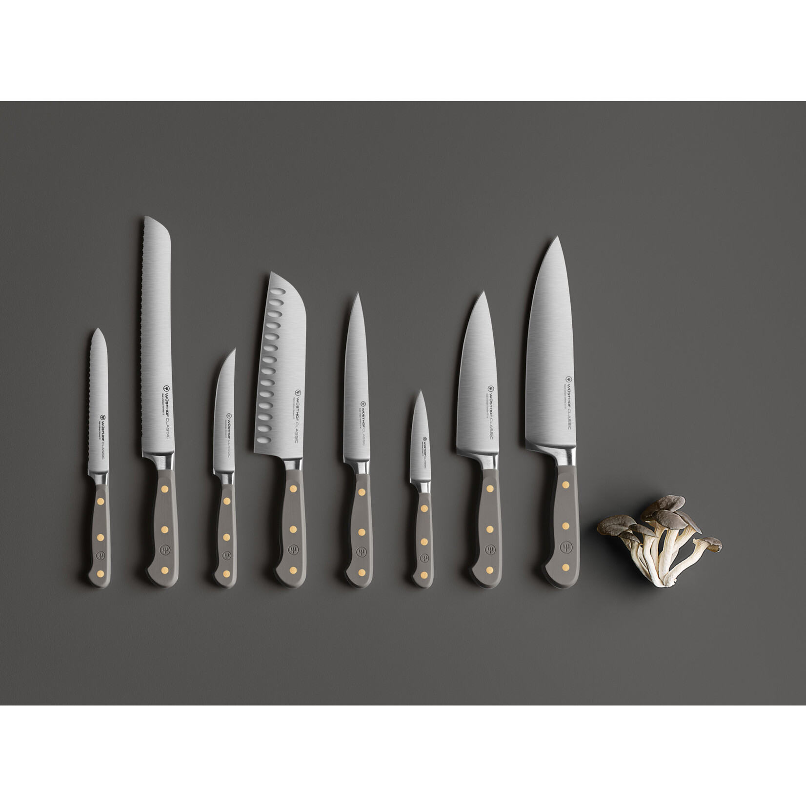 Wüsthof, messen uit Solingen gemaakt onder leiding van de 5e generatie familie Wusthof 9 cm office mes Wusthof Classic Color groentemes 9 cm Classic Velvet Oyster Wusthof 1061702109