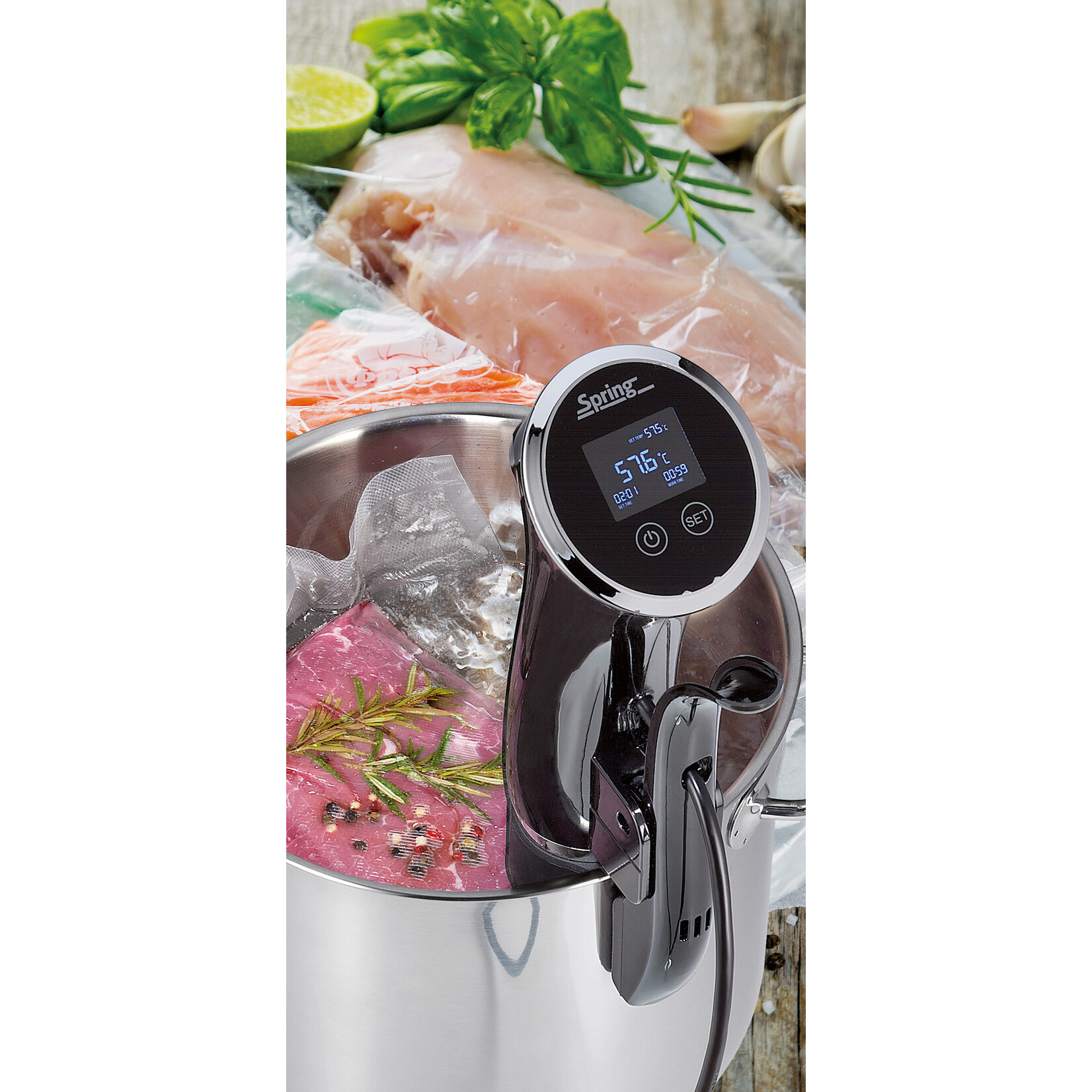 Spring Profi sous-vide Stick Spring Professional sousvide stick professional Spring 3812200001