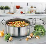 Spring 24 cm 4.7 liter Braadpan Spring Brigade Premium Cut Resist Pure Braadpan 24 cm 10 cm hoog Spring 0415400624