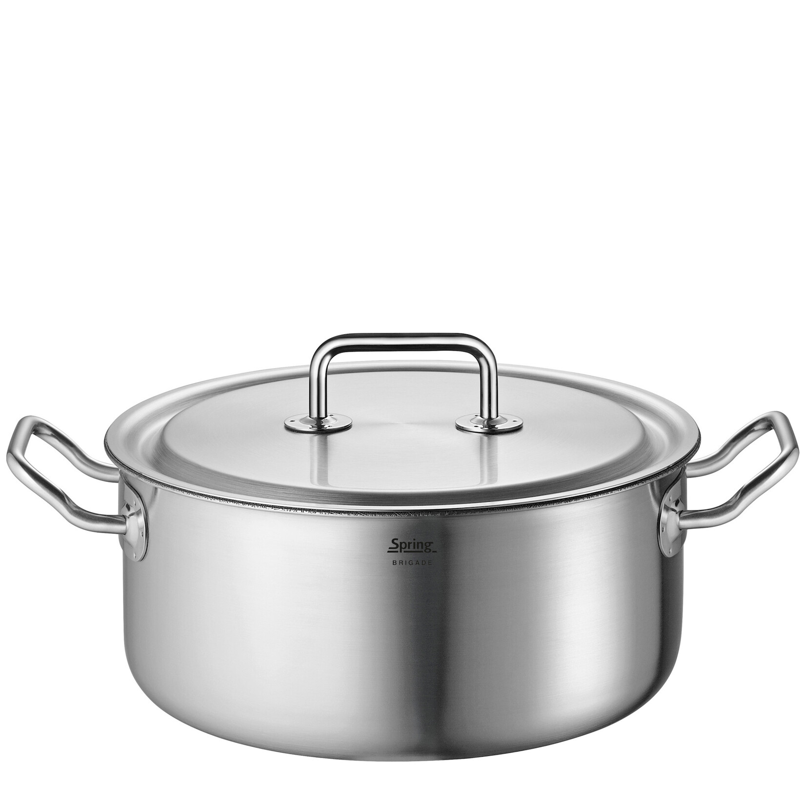 Spring Pannen en meer 24 cm 4.7 liter Braadpan Spring Brigade Premium Cut Resist Pure Braadpan 24 cm 10 cm hoog Spring 0415400624