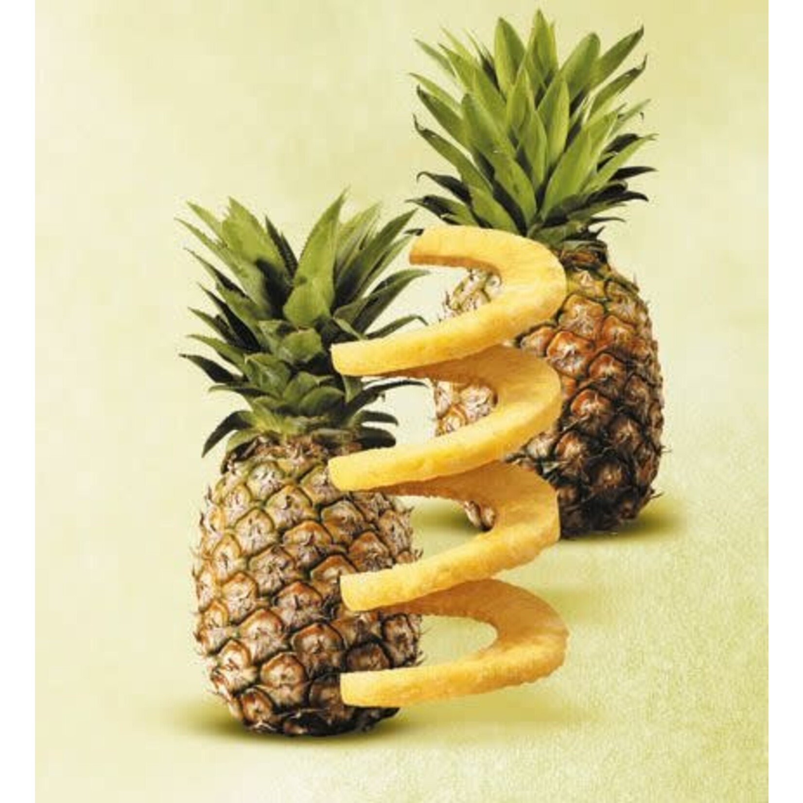 Gefu RVS Ananas snijder, partjes maken en opbergcontainer Gefu Ananassnijder Professional plus Gefu 13550