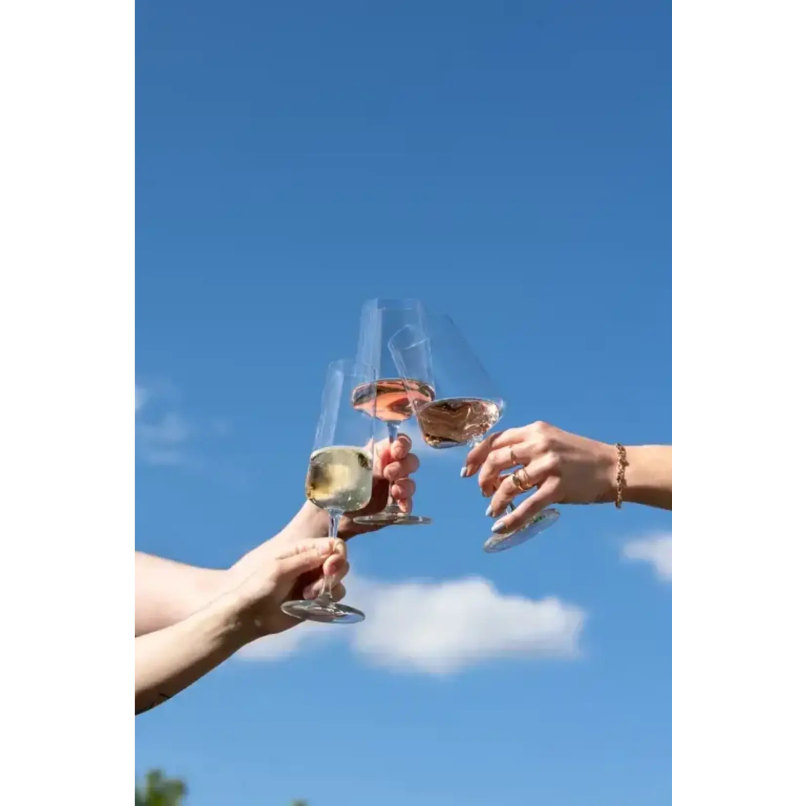 Zwiesel Collection Glas set-4 Witte wijnglazen MioVino Schott Zwiesel MioVino 4x Witte wijnglas  380 ml Zwiesel 124050