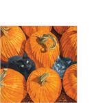 PPD Paper Product Design PPD 25 x 25 cm cocktail servetten Pumpkin Patch Cats Napkin PPD 125002451