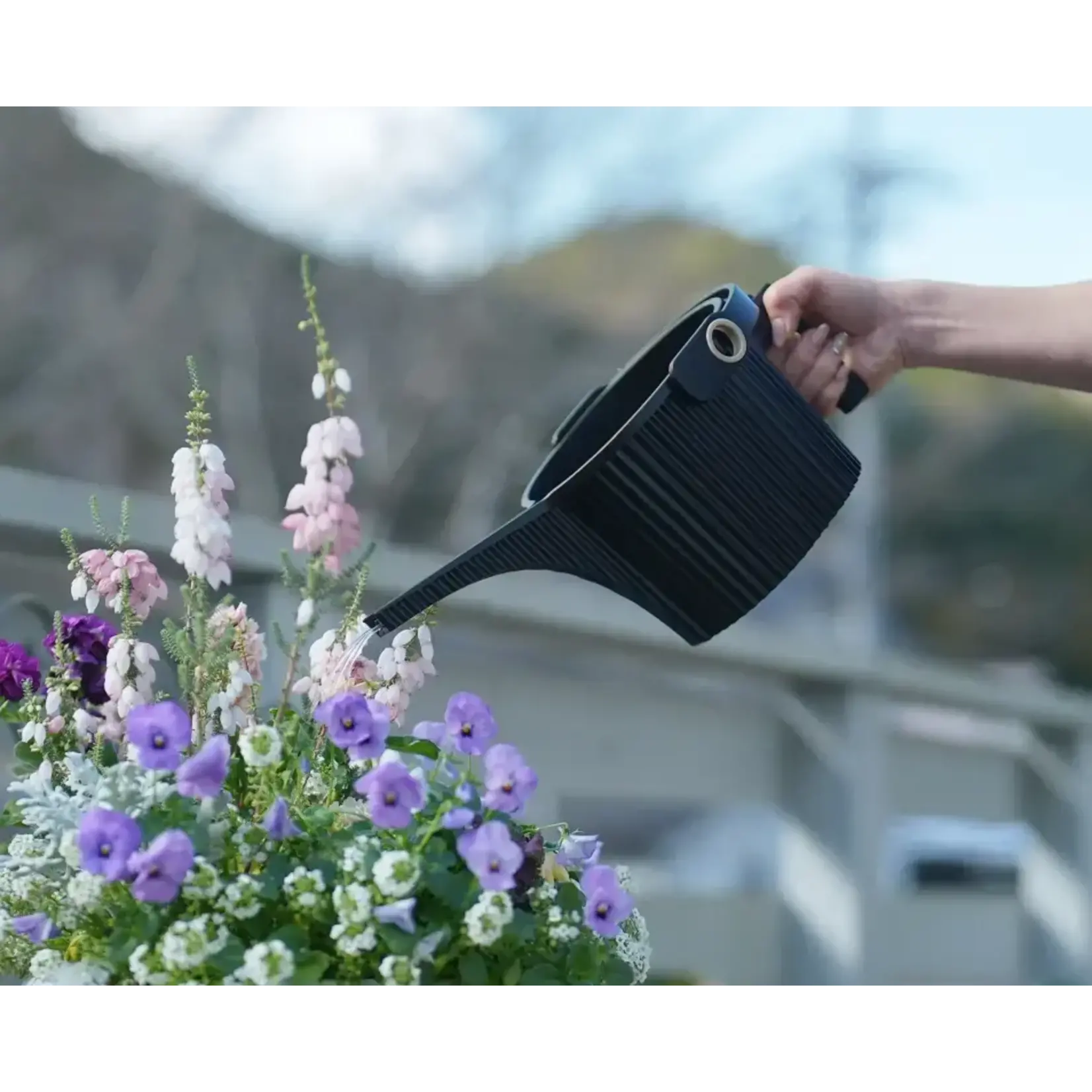 Diverse Merken 1500 ml gieter Hachiman Garden Beetle gieter garden beetle zwart 1,5 liter 244752