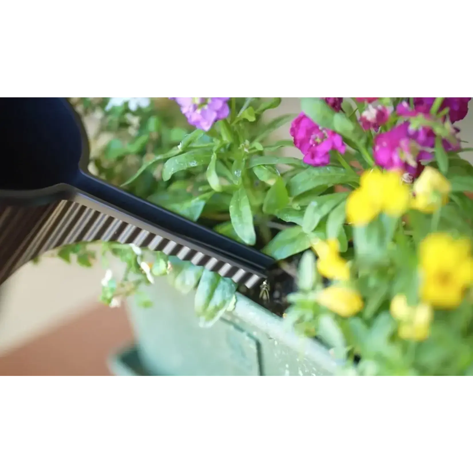 Diverse Merken 1500 ml gieter Hachiman Garden Beetle gieter garden beetle zwart 1,5 liter 244752