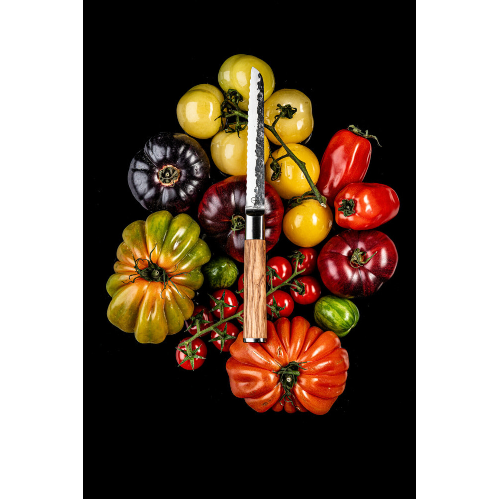 Forged gekarteld universeel mes Forged Olive universeel mes gekarteld Forged OliveUniSer