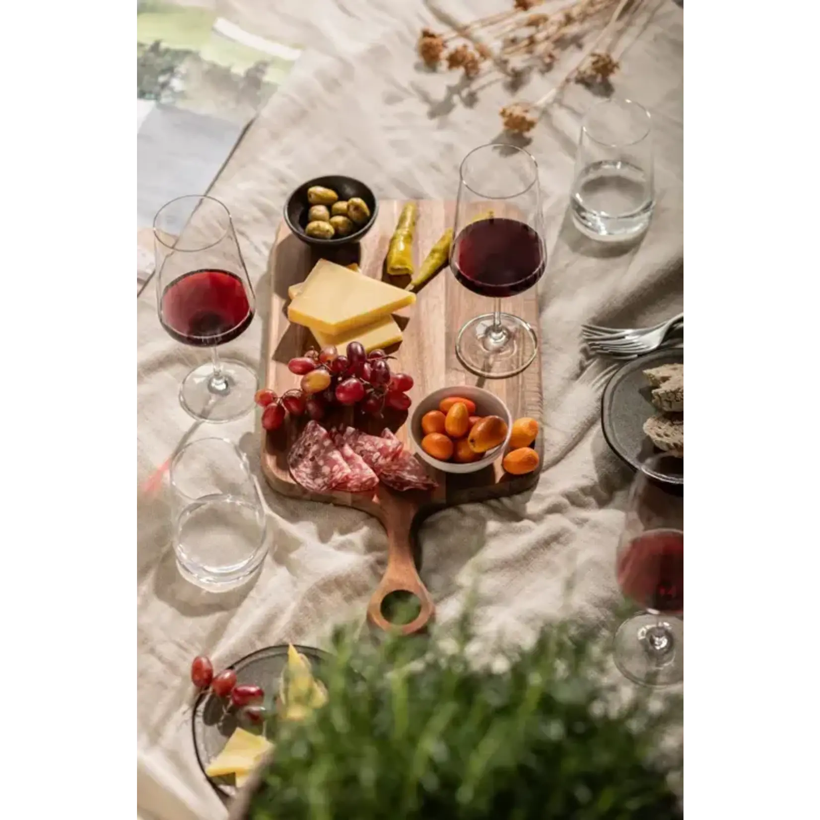 Zwiesel Collection Glas set-4 Rode wijnglazen MioVino Schott Zwiesel MioVino 4x Rode wijnglas 500 ml Zwiesel 124051