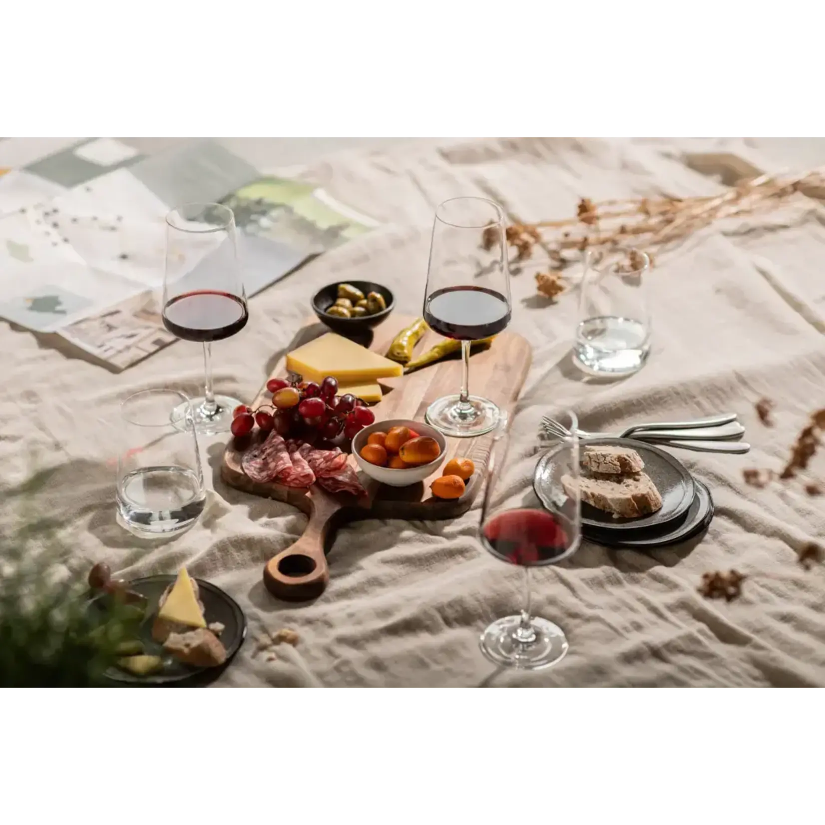 Zwiesel Collection Glas set-4 Sapglas water glazen MioVino Schott Zwiesel MioVino 4x tumbler glas 425 ml Zwiesel 124053