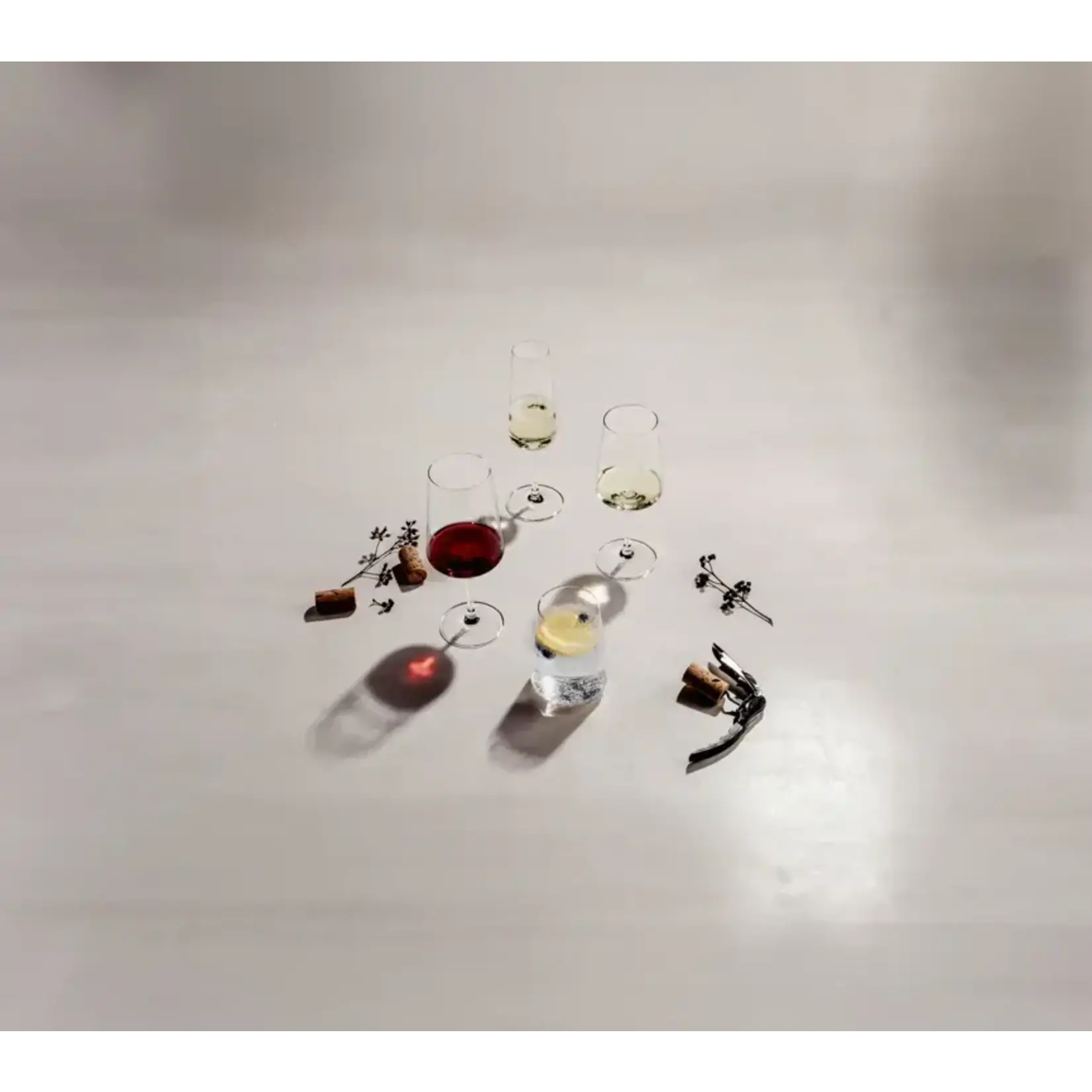 Zwiesel Collection Glas set-4 Sapglas water glazen MioVino Schott Zwiesel MioVino 4x tumbler glas 425 ml Zwiesel 124053