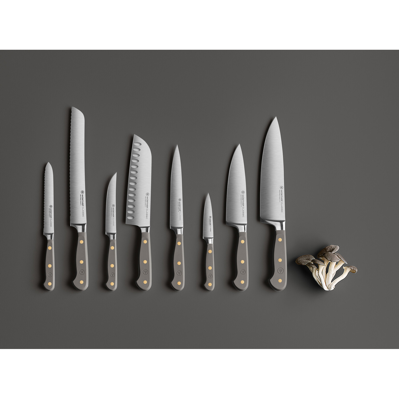 Wüsthof, messen uit Solingen 17 cm Santoku mes Wusthof Classic Velvet Oyster Santokumes 17 cm Classic Colour Wusthof 1061731317