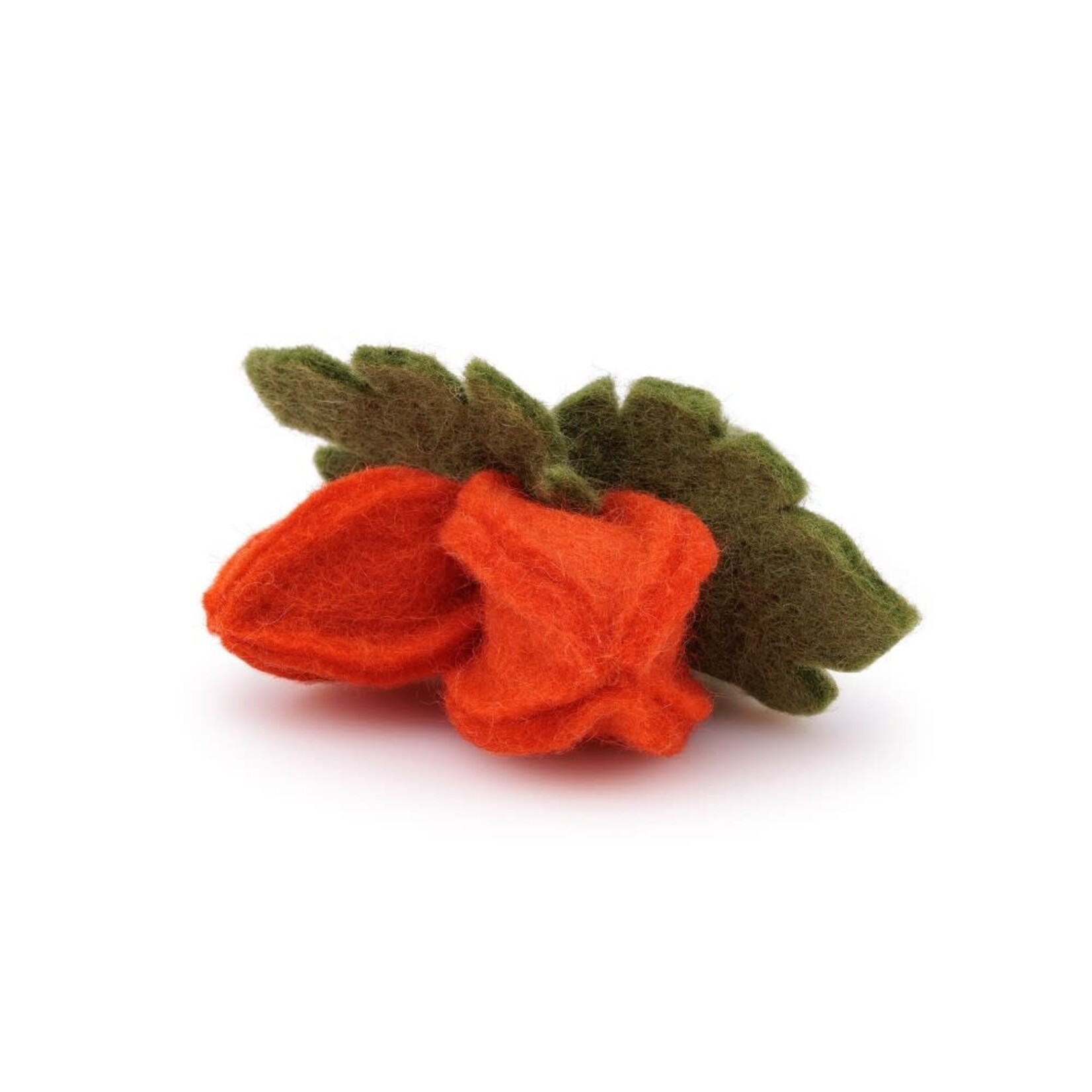 Fairmade Fairtrade voor Sjaal met Verhaal Sjaal met Verhaal Servet ring Physalis Lampion per stuk vilten servetring