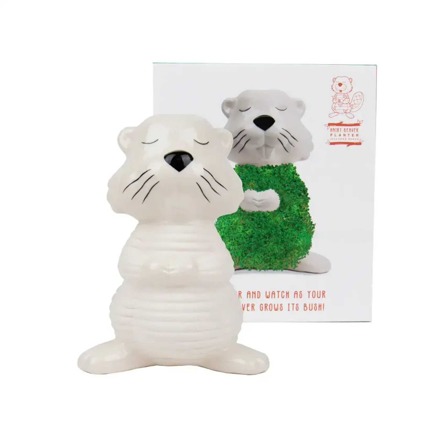 Diverse Merken Hairy Beaver plantenpot met Chiazaden Gift Republic GR452160