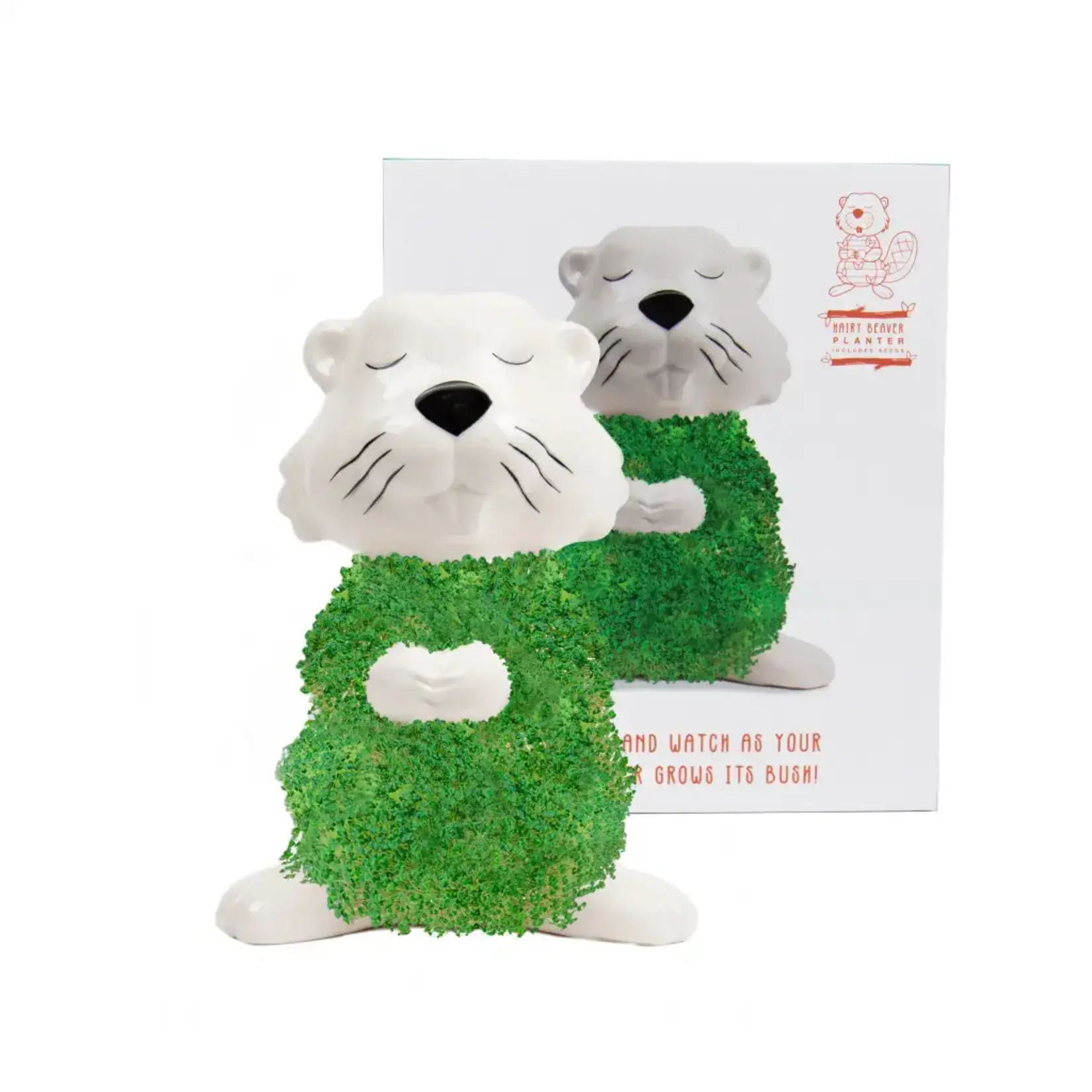 Diverse Merken Hairy Beaver plantenpot met Chiazaden Gift Republic GR452160