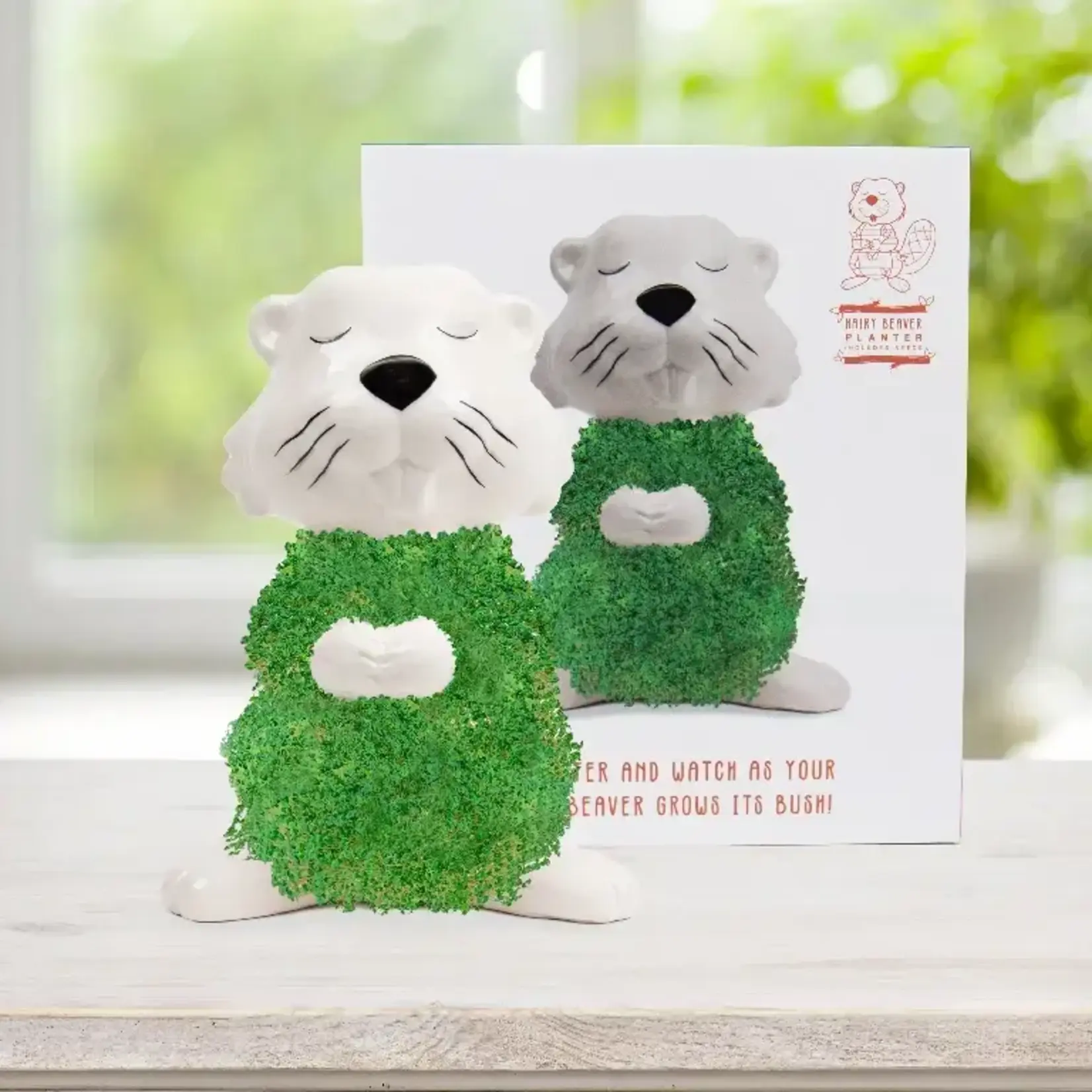 Diverse Merken Hairy Beaver plantenpot met Chiazaden Gift Republic GR452160