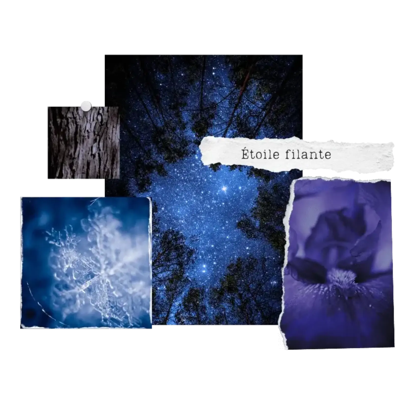 Durance Durance Geurbloem 95 ml Shooting Star étoile filante geurbloem Durance 075045