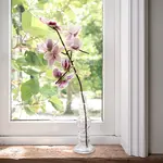 Fairmade Fairtrade voor Sjaal met Verhaal Sjaal met verhaal Tak Magnolia 50 cm Handmade Fairmade uit Nepal 8721122321812