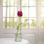 Sjaal met Verhaal Sjaal met verhaal Tulp Mila Magenta  35 cm Handmade Fairmade uit Nepal