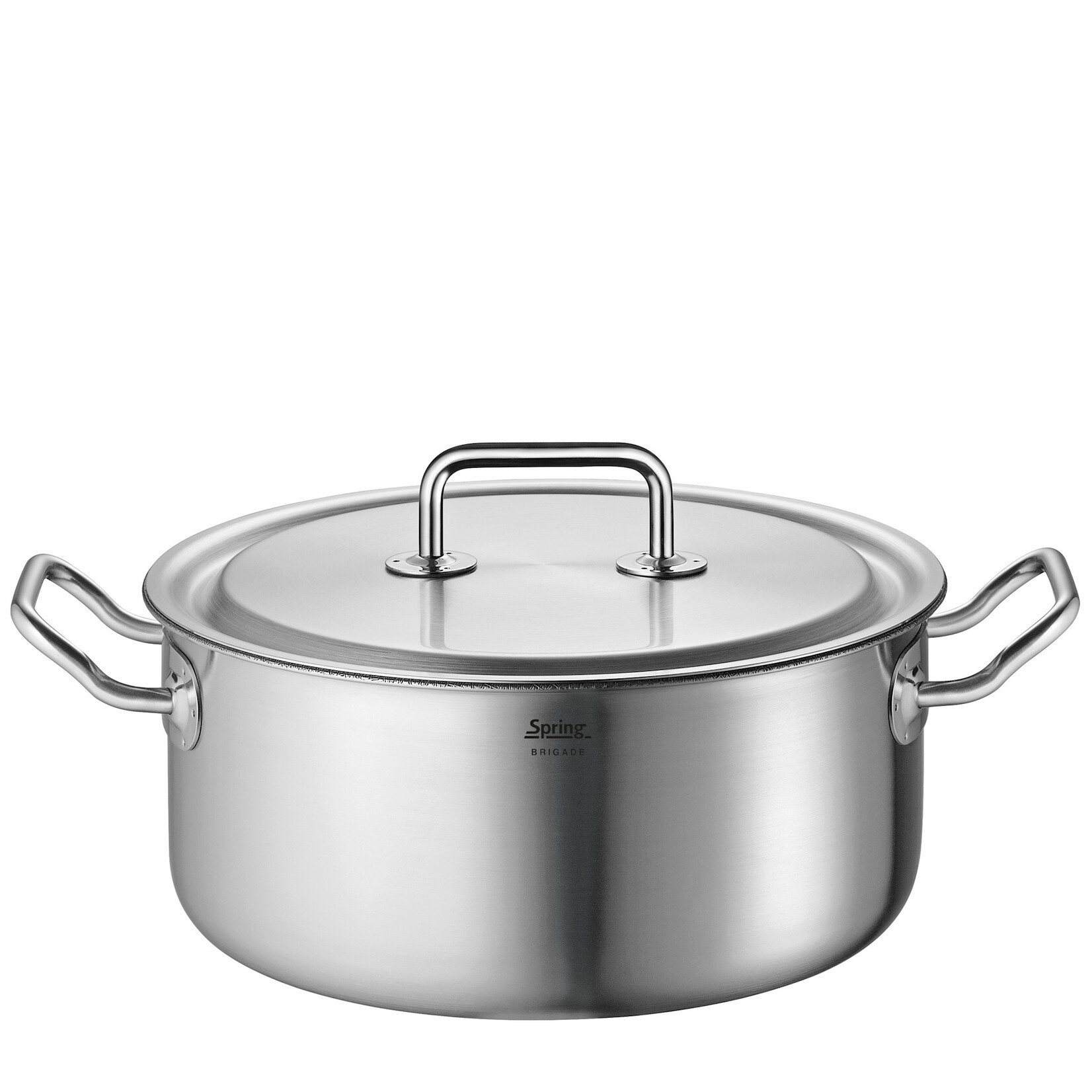 Spring 20 cm 2.7 liter Braadpan Spring Brigade Premium Cut Resist Pure Braadpan 20 cm 9 cm hoog Spring 0415400620