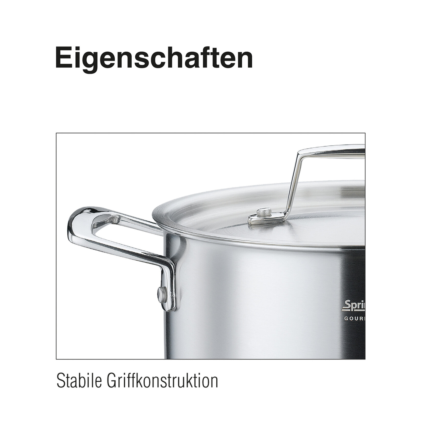 Spring 16 cm rvs deksel Gourmet Spring Gourmet deksel rvs 16 cm Spring 0515515016