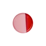 ASA Selection Asa Selection Joy 13 cm Breadplate sideplate broodbordje Strawberry Smoothie ASA 16131286