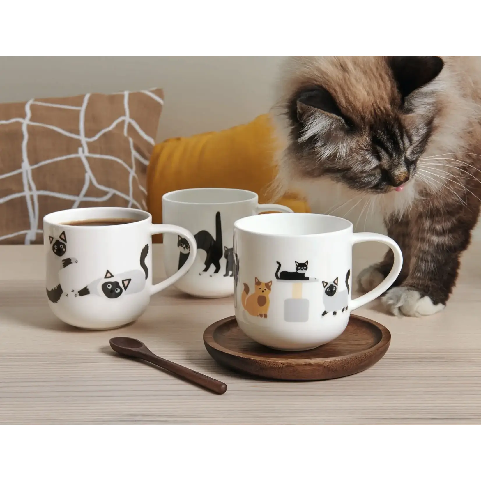 ASA Selection Asa Selection Coppa 400 ml mok Surprised Cats katten  mok  Asa 19443014