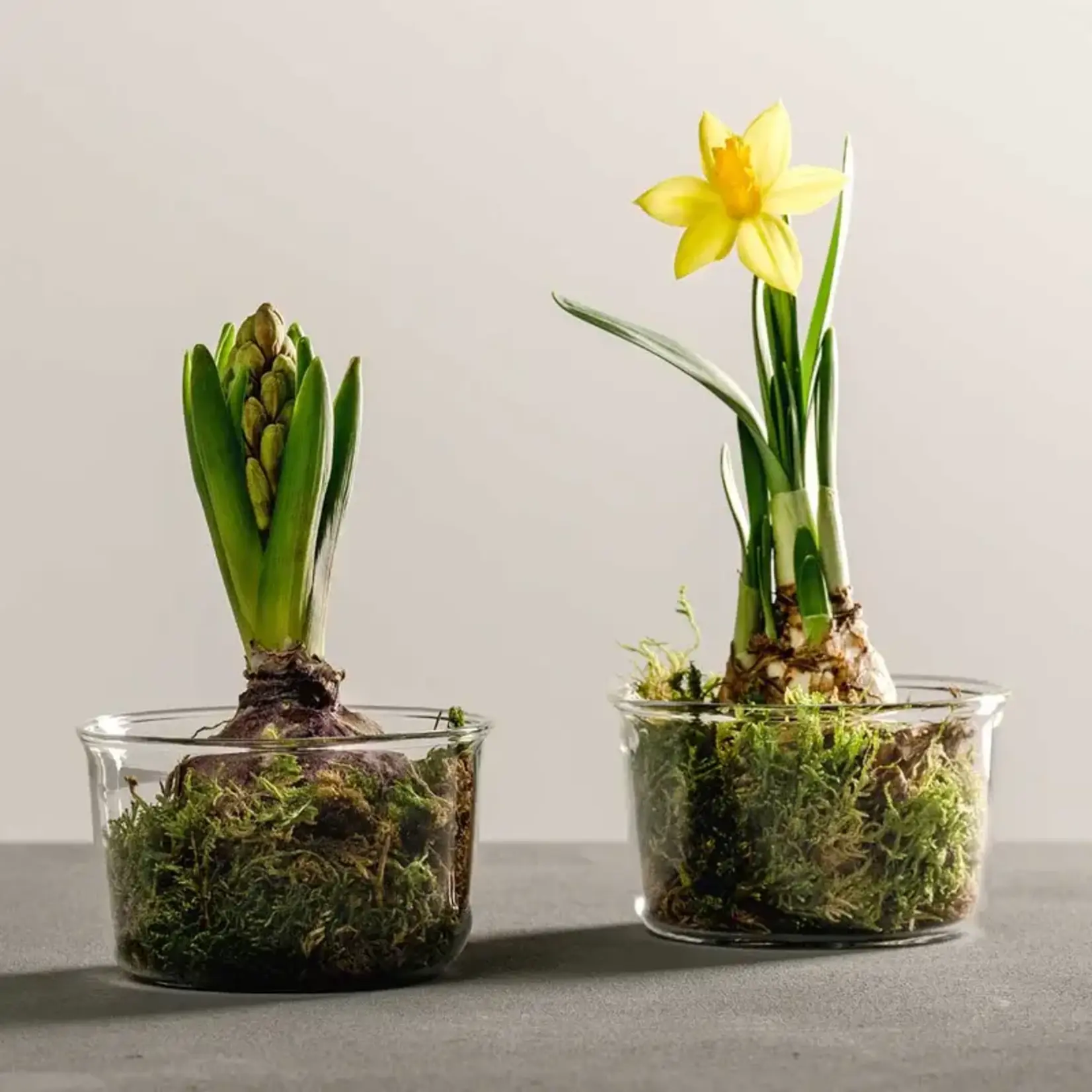 Leonardo Loving Glass Leonardo Vetro set-2 kommetjes handgemaakt Ø 9 cm 270 ml Leonardo 057175
